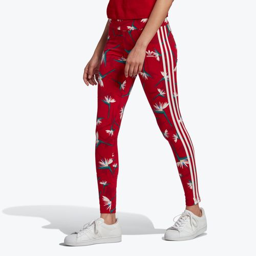 Calca-Legging-Adidas-Thebe-Magugu