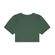 Camiseta-Vans-Flying-V